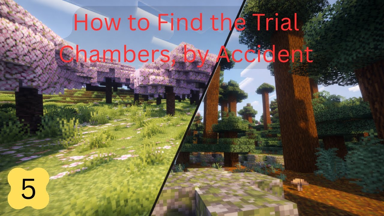 How to Find the Trial Chambers, by Accident - eUHC#5
