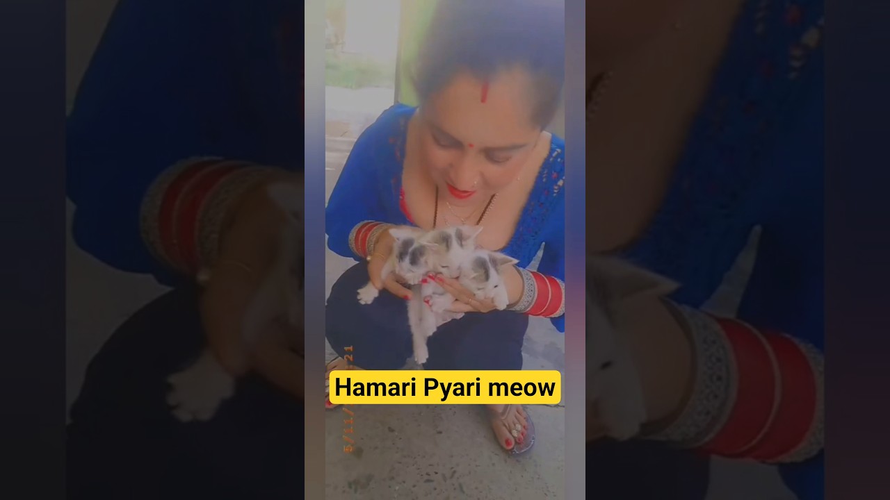❤️😉🤭#trendingshorts #viralvideo #love Its Riya Vlogs