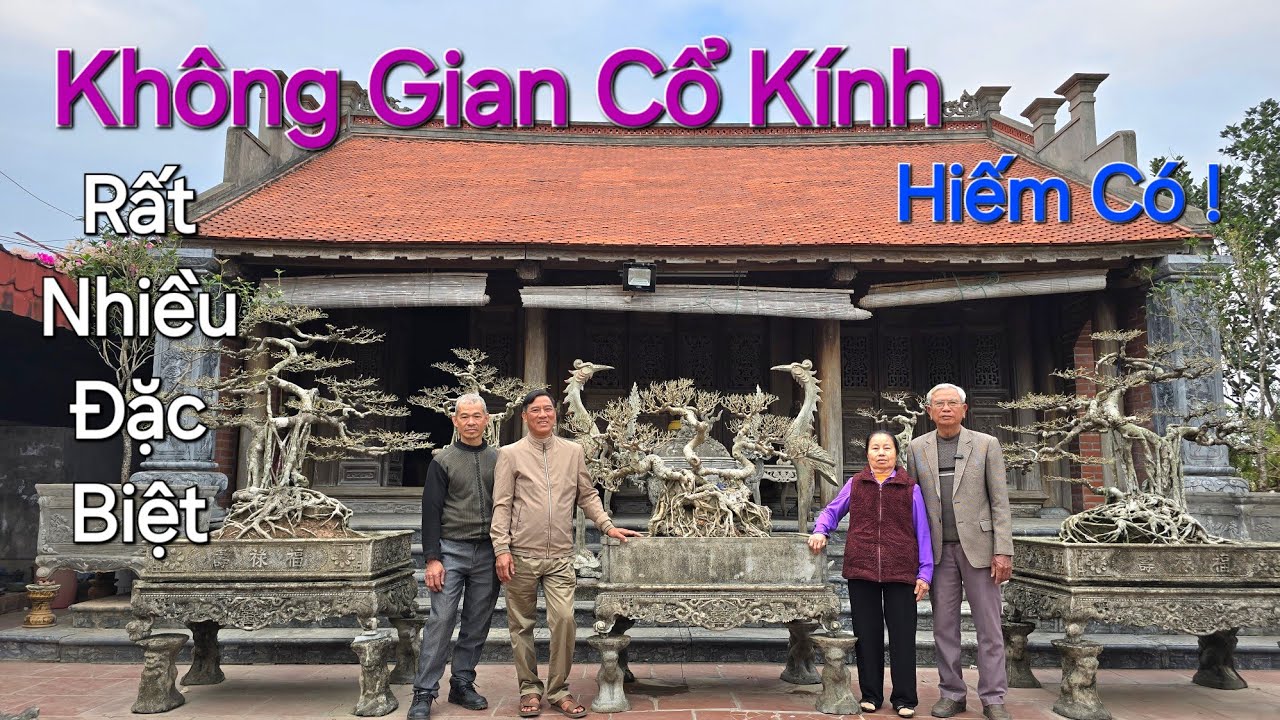 KHÔNG GIAN HIẾM CÓ *  NHÀ CỔ - CÂY CỔ - BỂ CỔ * của nhà Chú Hởi - Hưng Hà - TB .