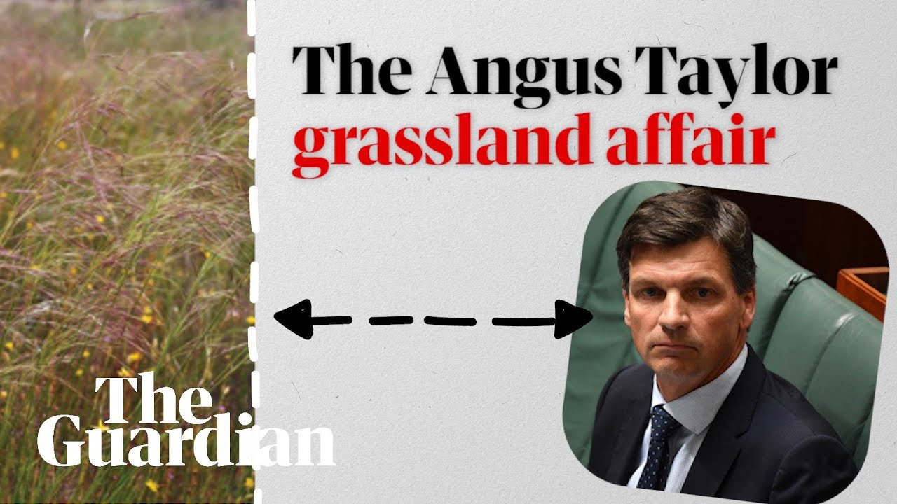 The Angus Taylor grassland affair: So what’s the story?
