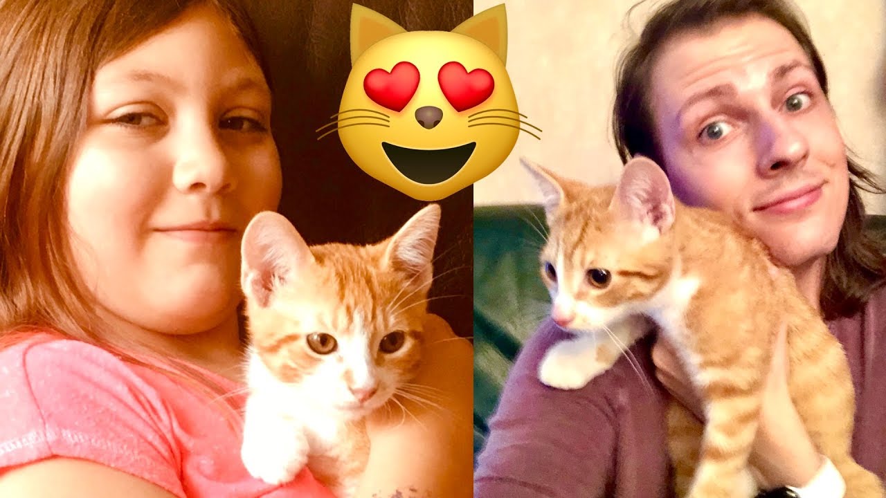 UN NOUVEAU CHAT DANS LA FAMILLE ! DELIRES DE MAX