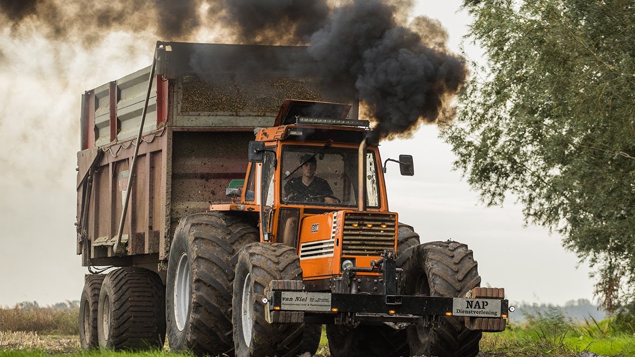 Fiat 980 DT in de mais van Mark Nap | Maisoogst 2023 | No smoke no poke!