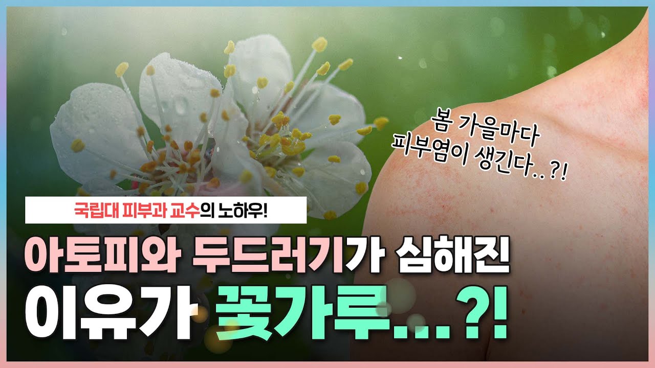 꽃가루 때문에 피부염이 생긴다?😱｜봄 가을만 되면 아토피와 두드러기가 심해지는 분들, 여기 주목!😎 - [언니네피부과]
