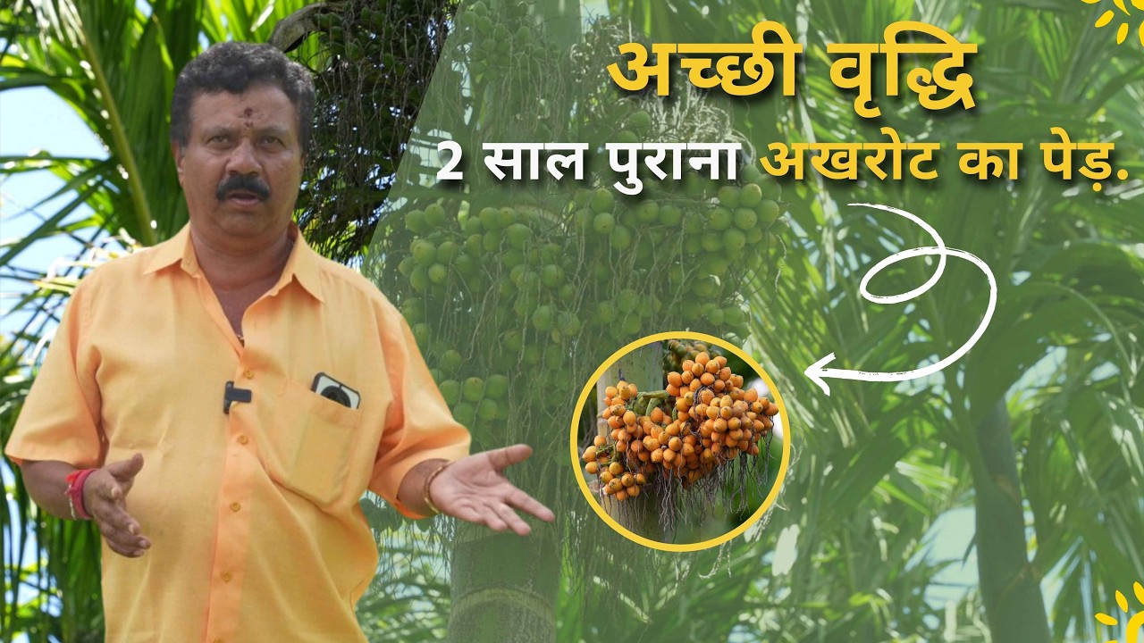कुनिगल किसान की सुपारी क्रांति | सिर्फ 2 साल में शानदार वृद्धि! | ज्यादा केंचुए, ज्यादा उपजाऊ मिट्टी