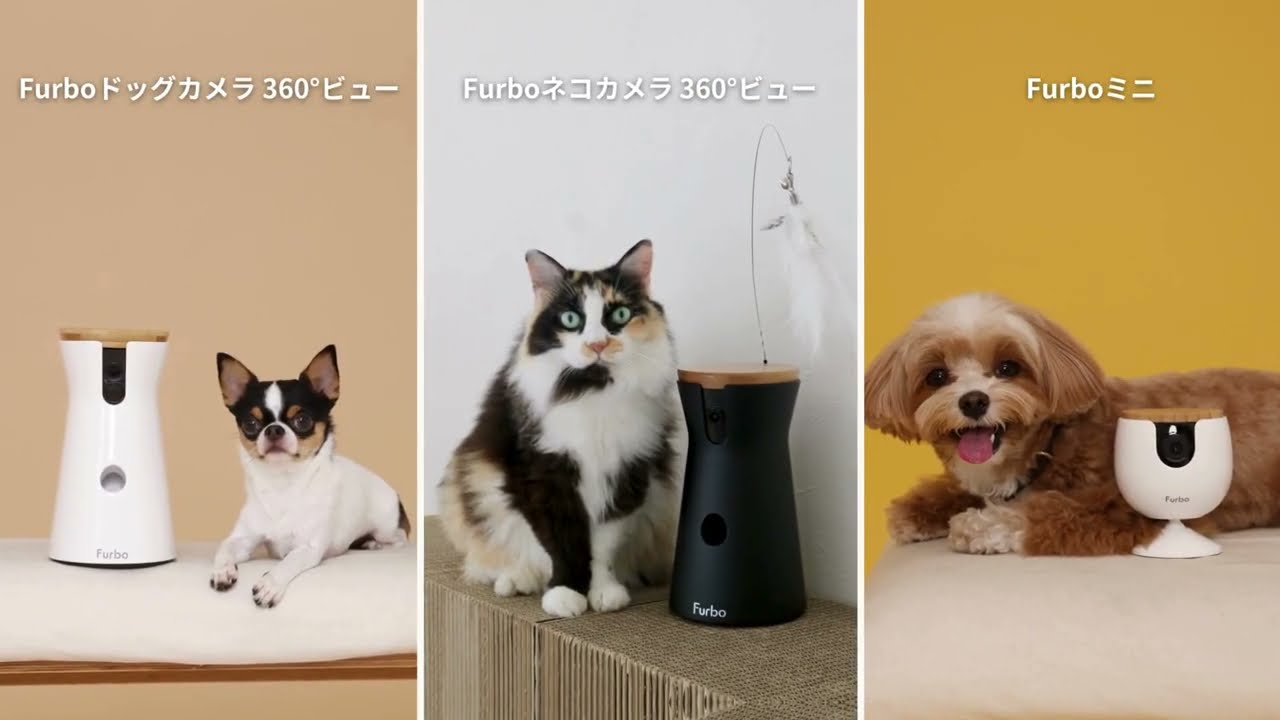 AI搭載Furboシッター紹介