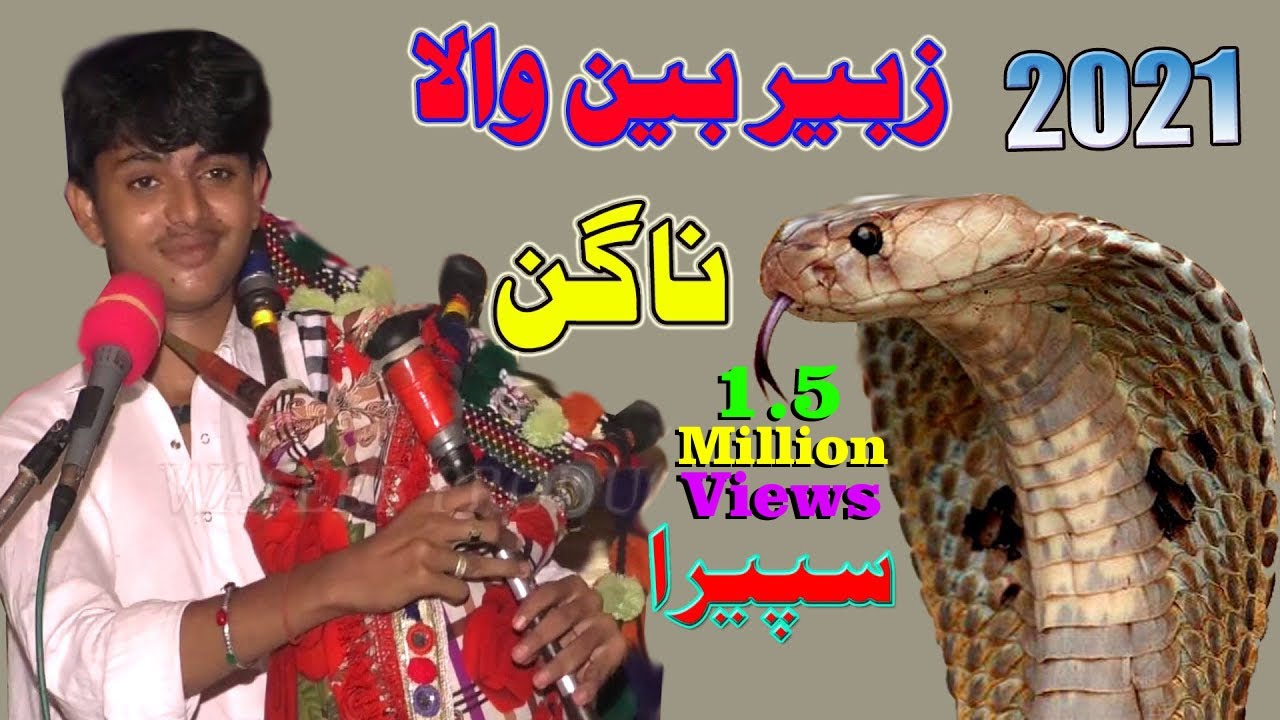 Latest Saraiki Virsa 2020 || Zubair Been wala || Spaira || Waseeb Production || Pakistan Panjab