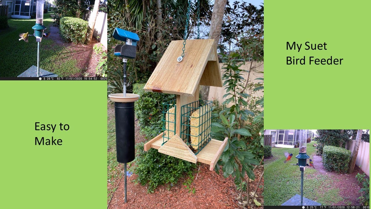 Suet Bird Feeder, How to Build one for under $10.00