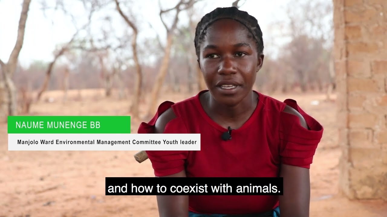 Binga Wildlife Documentary