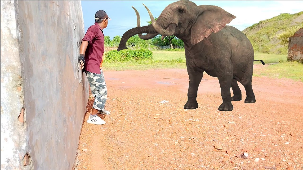 Elephant Attack On Village Boy In Islam Pur Brick Kiln | Vfx Luba