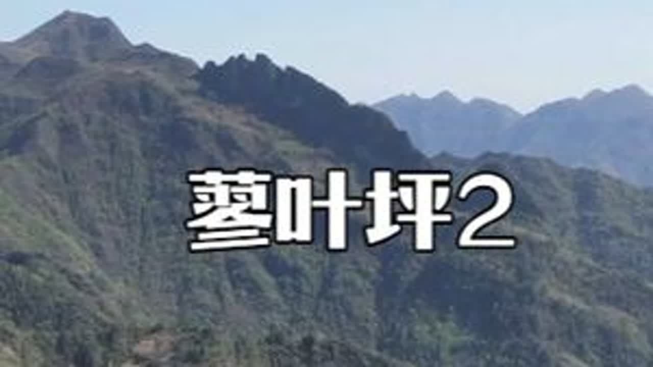 山上途中遇到一位大叔，山里生活太真实了，而且还有过人之处 #乡村生活 #大山里的原生态