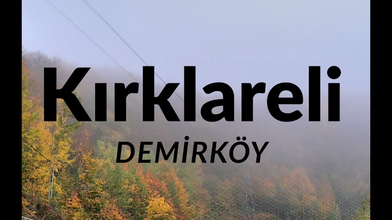 Forest Road Serenity: Kırklareli Demirköy Scenic Drive