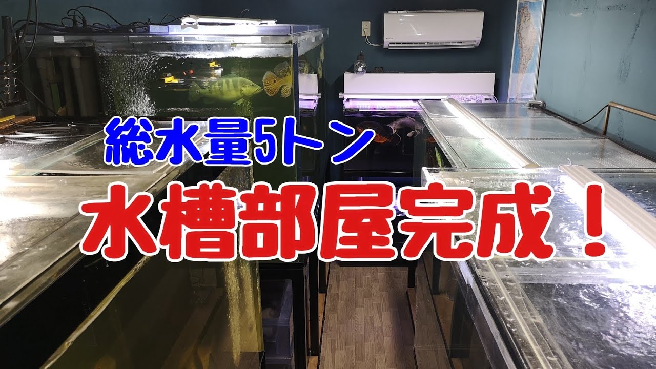 【水槽部屋】ただのガレージから水槽部屋を目指す⑤完結編