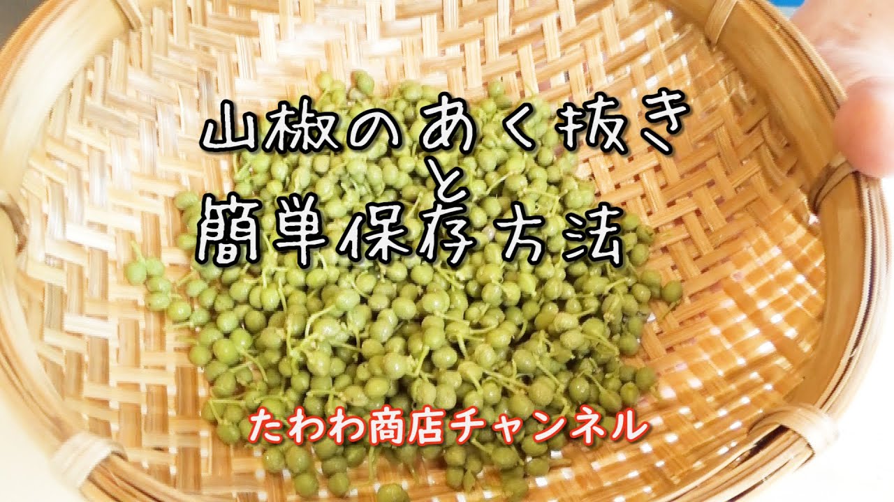 【完全保存版】基本の山椒のあく抜きと簡単保存方法