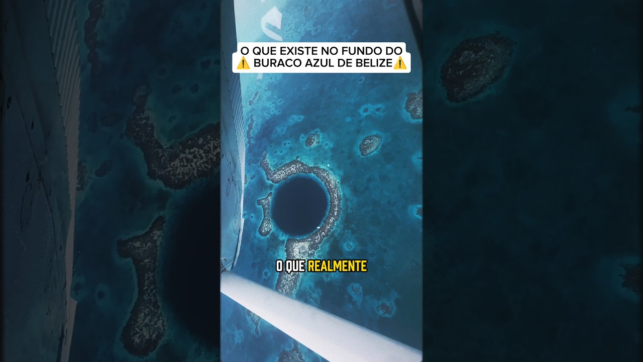 O que existe no buraco azul de BELIZE #belize #oceano #oitomundos