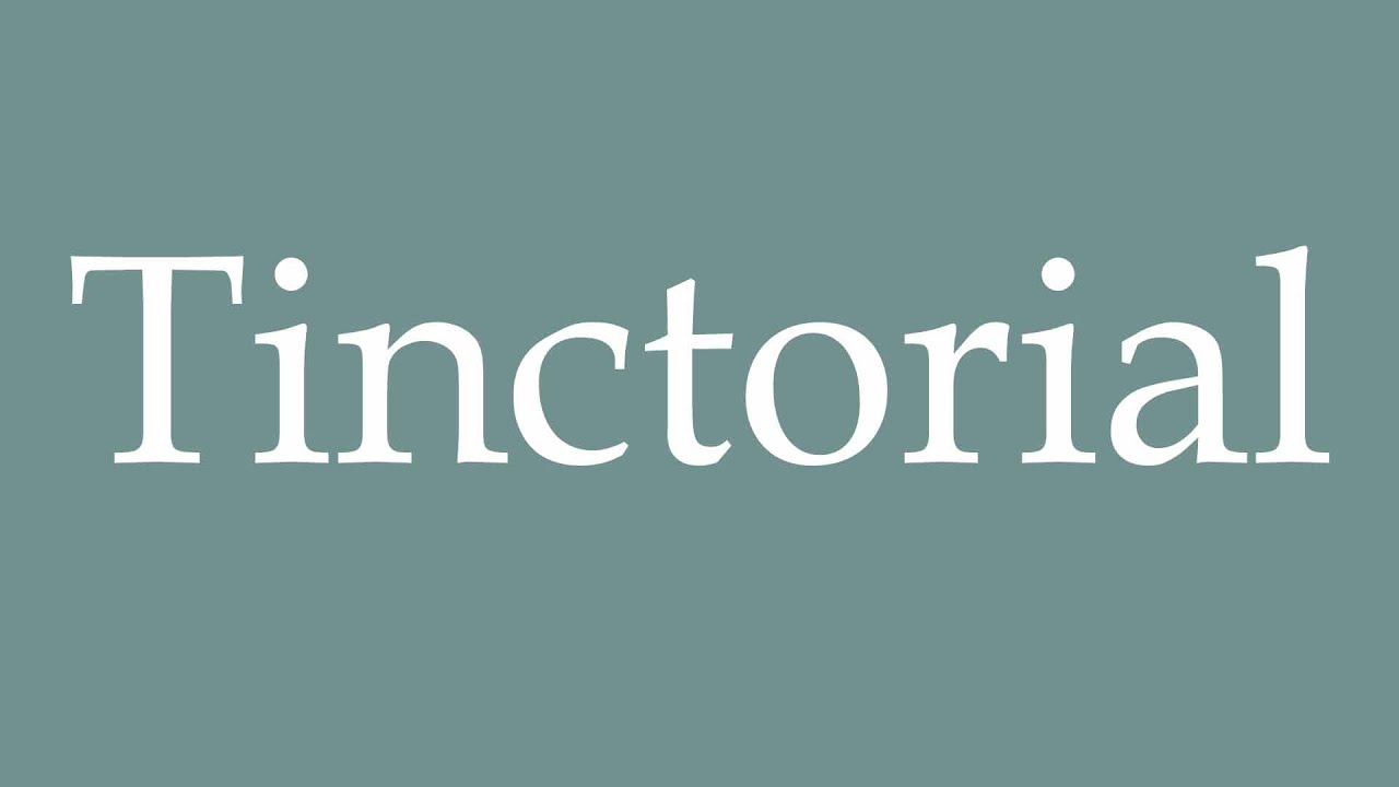 How to Pronounce ''Tinctorial'' Correctly in French
