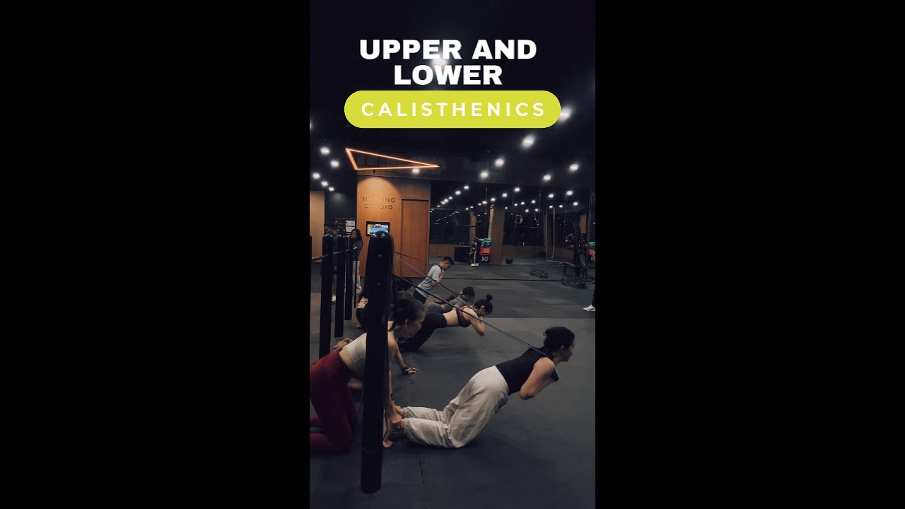 Upper Lower Calisthenics Exercise