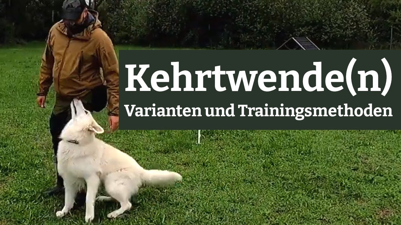 Die  Kehrtwende(n) - Varianten und Trainingsmöglichkeiten