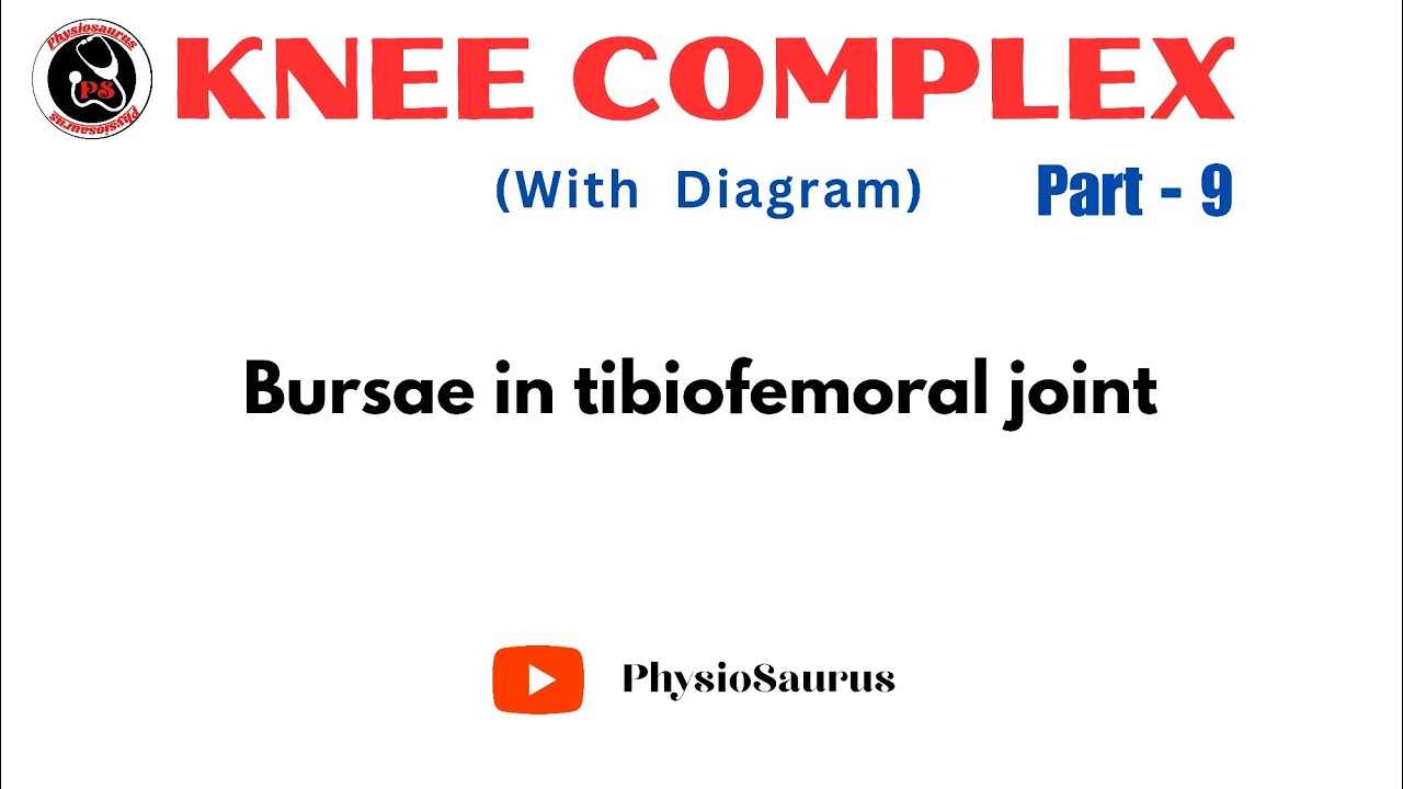 Bursae | Tibiofemoral joint structure | Knee complex | Bursitis