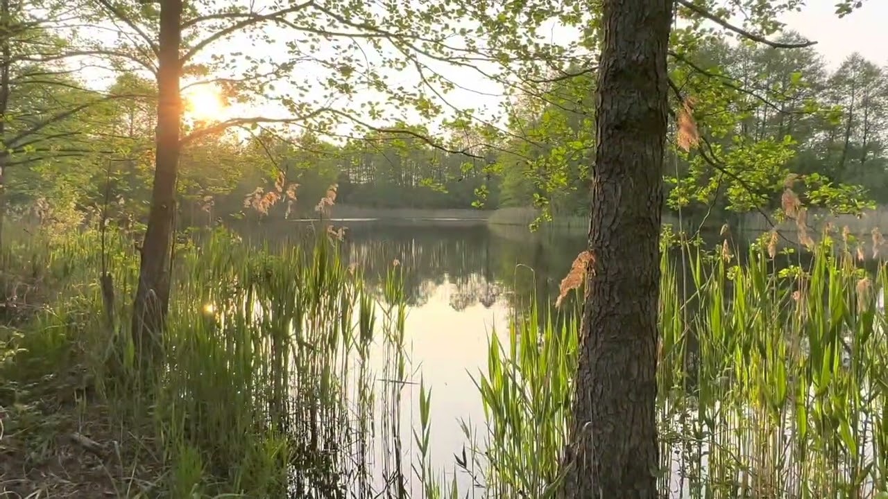 BUCZEK NAD BOBREM - STAW PZW „KĄPIELOWY”