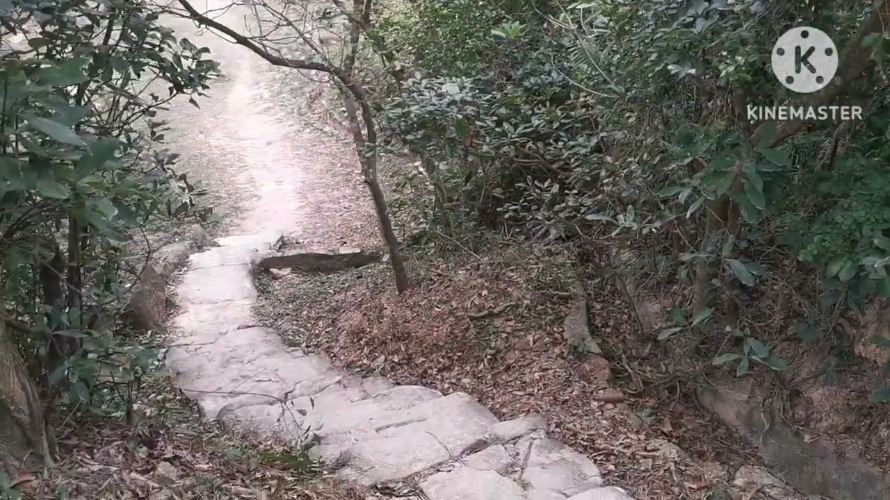2月龍蝦灣風箏場 風景