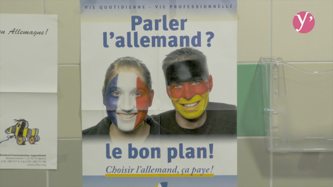 Des collégiens de Buc découvrent la culture allemande
