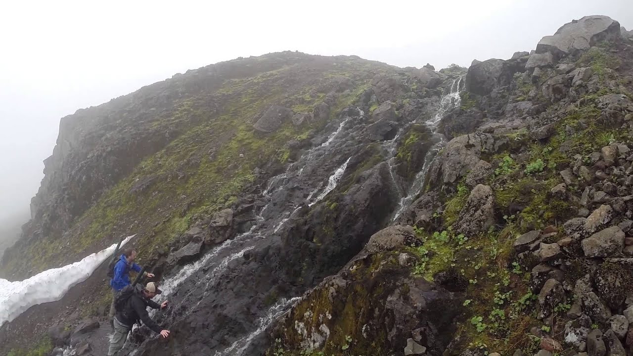 Fluguveiði í Hornvík 2014