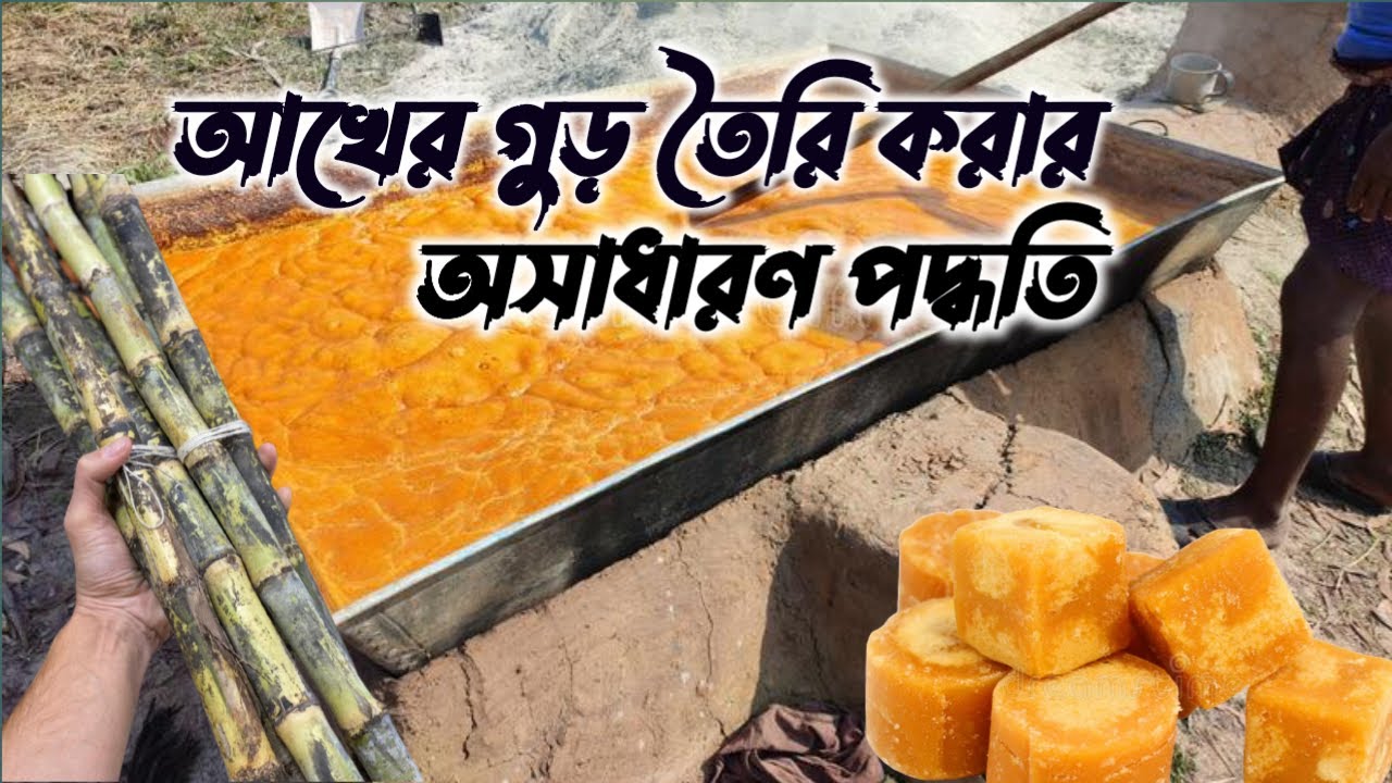 আখের গুড় তৈরি I Akher Gur I How to make Sugar Cane Jaggery at factory I Traditional jaggery Making