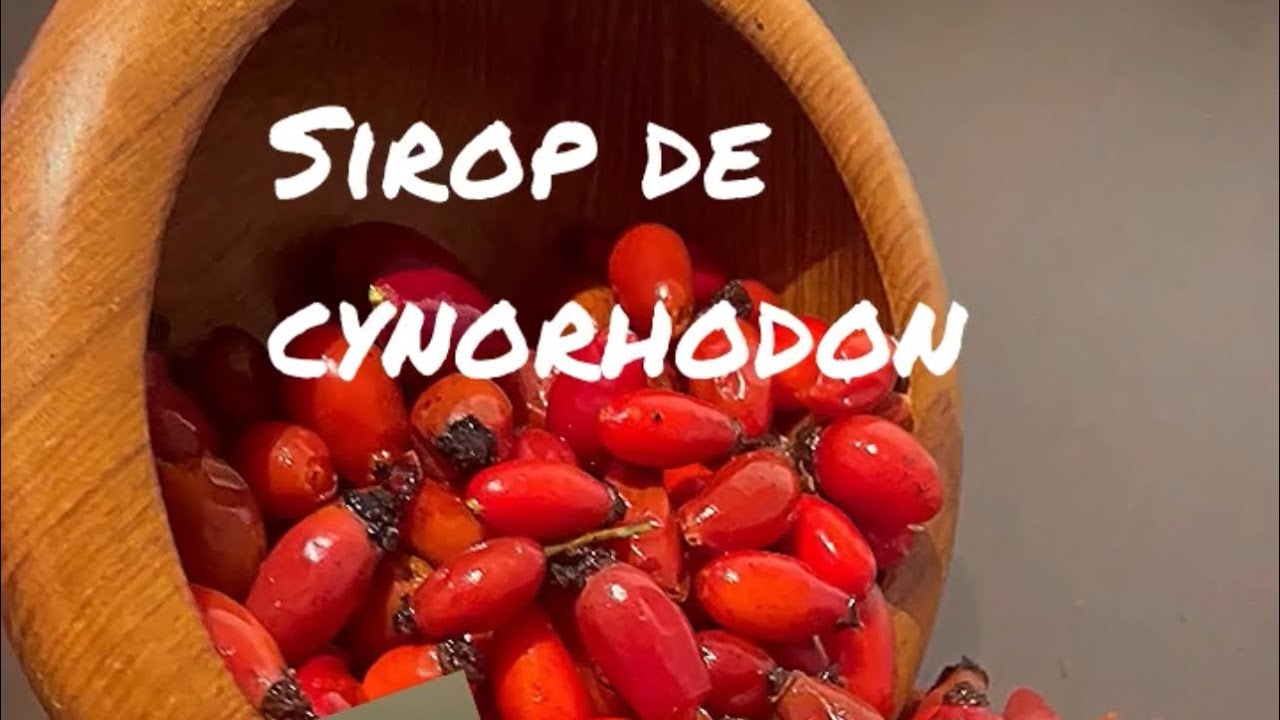 Sirop de cynorhodon sans cuisson