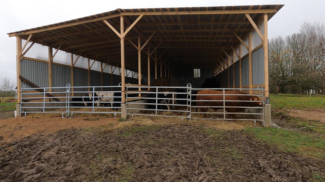 EkoŪkis #95 Pašiūrė baigta.Gyvuliai uždaryti.Ekoagros patikra.