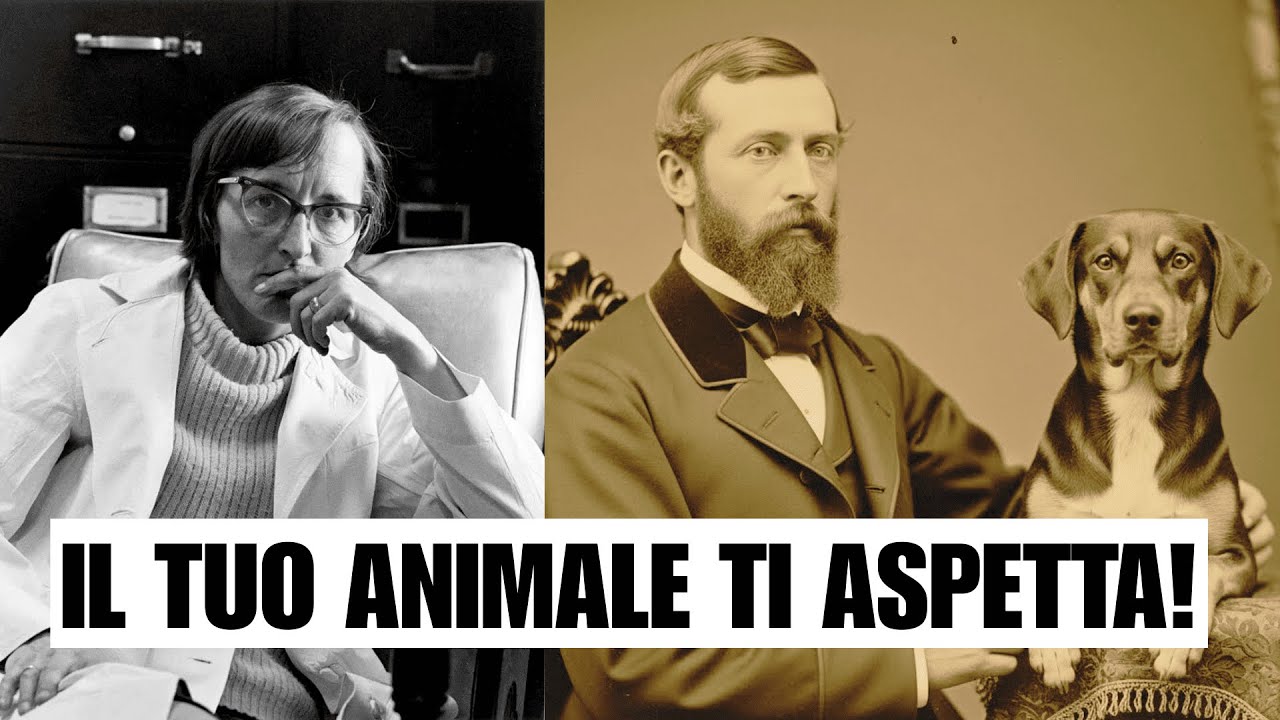 Il tuo animale ti aspetta LÌ – la prova sconvolgente di Elisabeth Kübler-Ross!