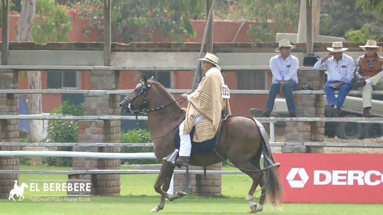CFF   Ayapliano i