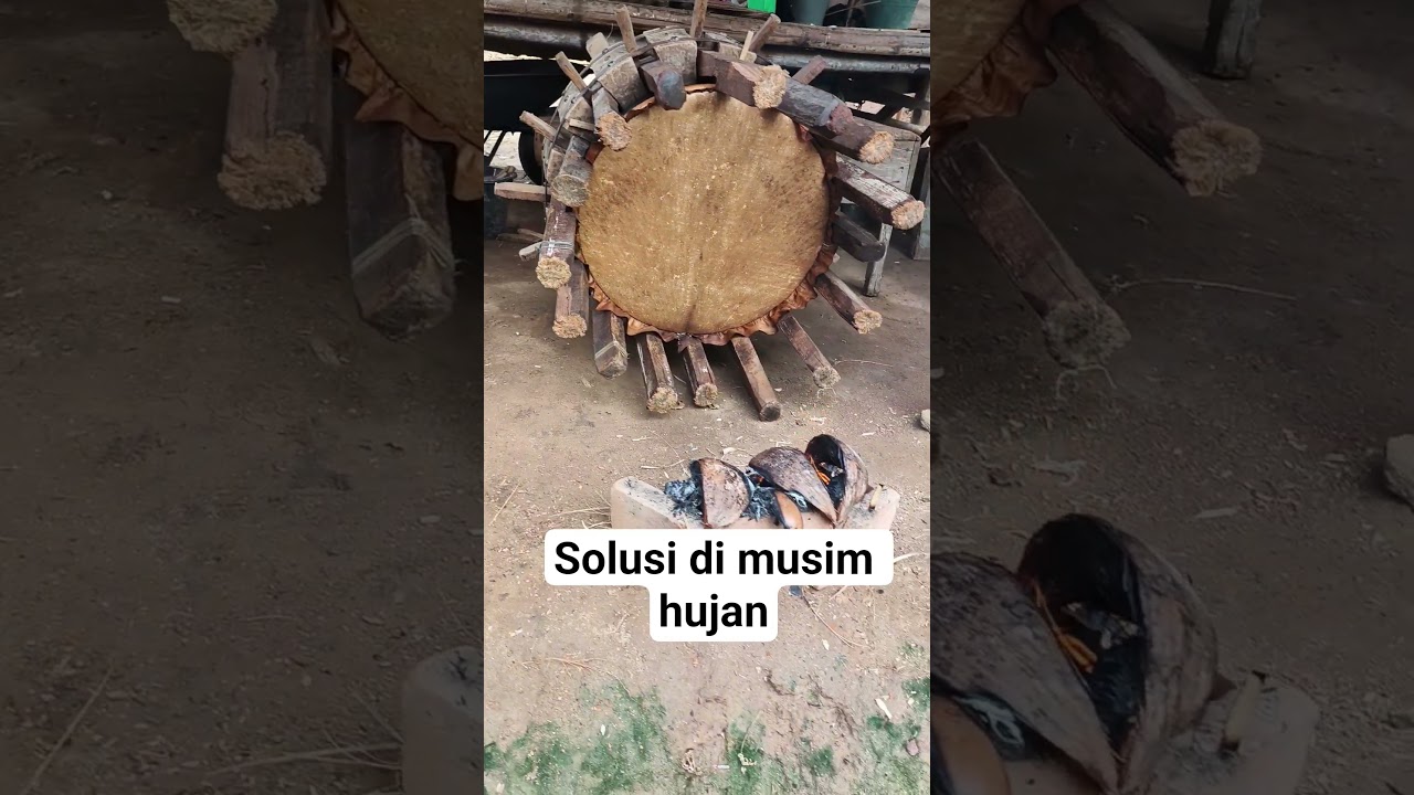solusi dimusim hujn agar kulit cepatkering #rapai #rapaiaceh #drummer #vlog #rapaigeleng #rehabrapai
