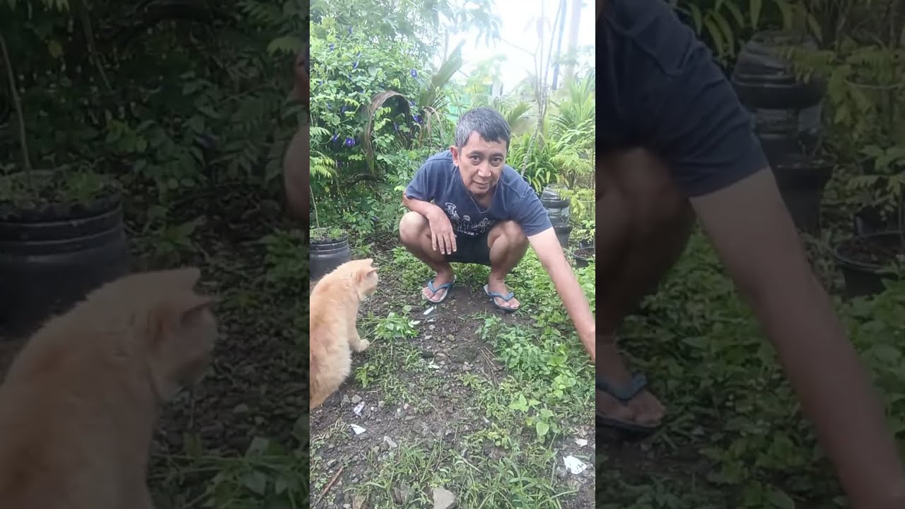 Awali puasa dengan bersihin rumput #kebunsampingrumah #kebunsingkong 