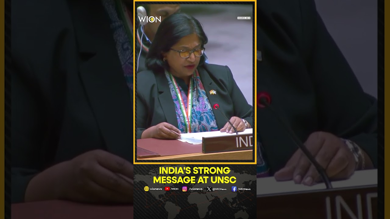 India Pushes For Greater Global South Representation at UNSC  |WION Shorts