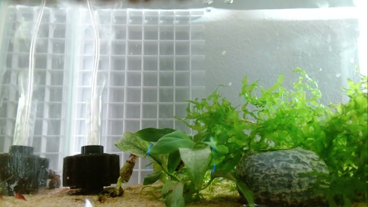 added in some new redeems to test with the new camera (Part 20/136)