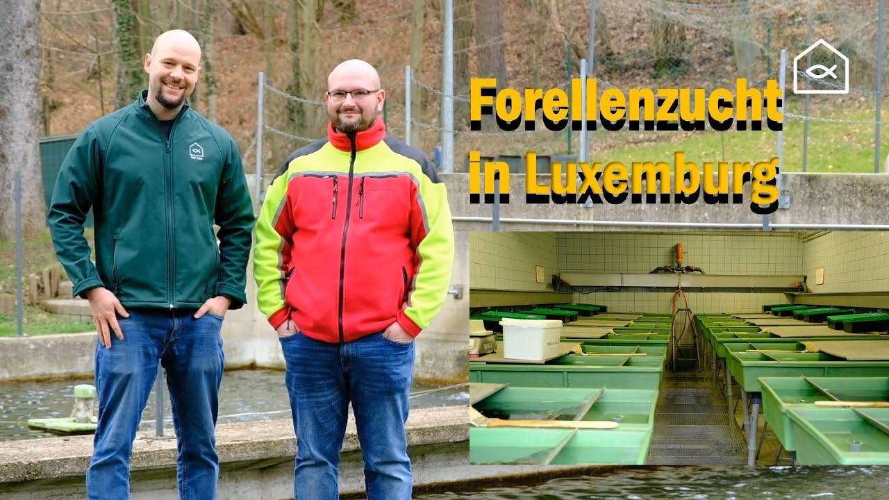 Forellenzucht in Luxenburg, Intreview mit einem Forellenzüchter!