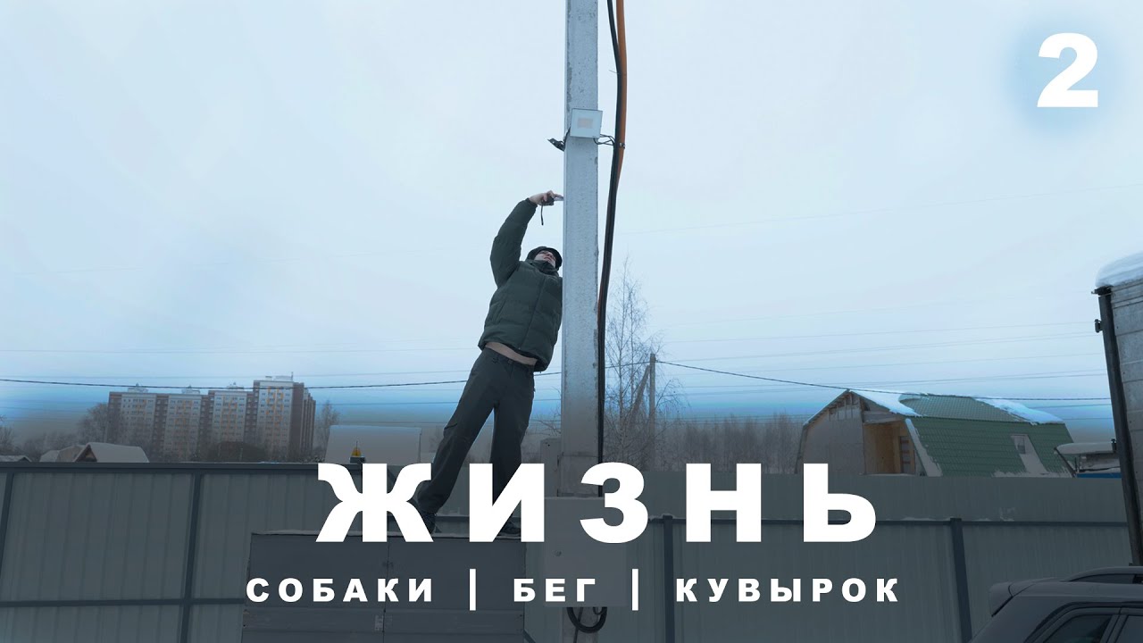 ЖИЗНЬ. часть 2. СОБАКИ. БЕГ. КУВЫРОК