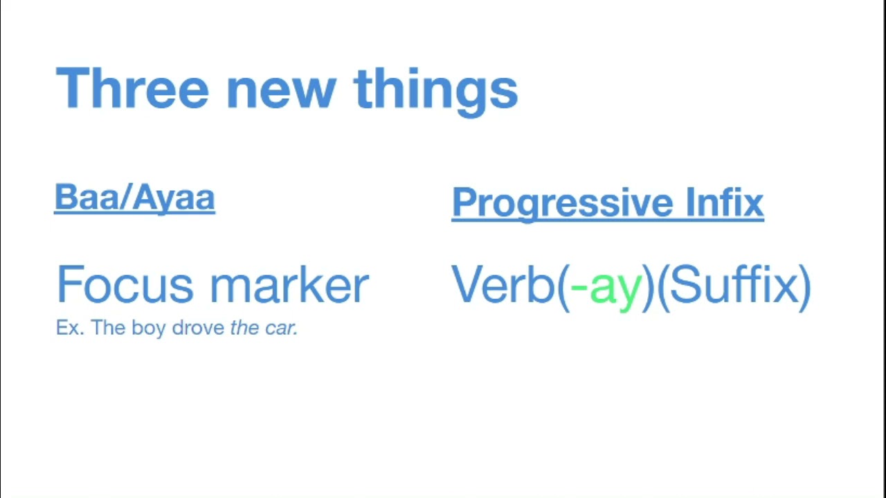 Somali Essentials: Baa, Ayaa, and Progressive Tense (-ING Verbs)