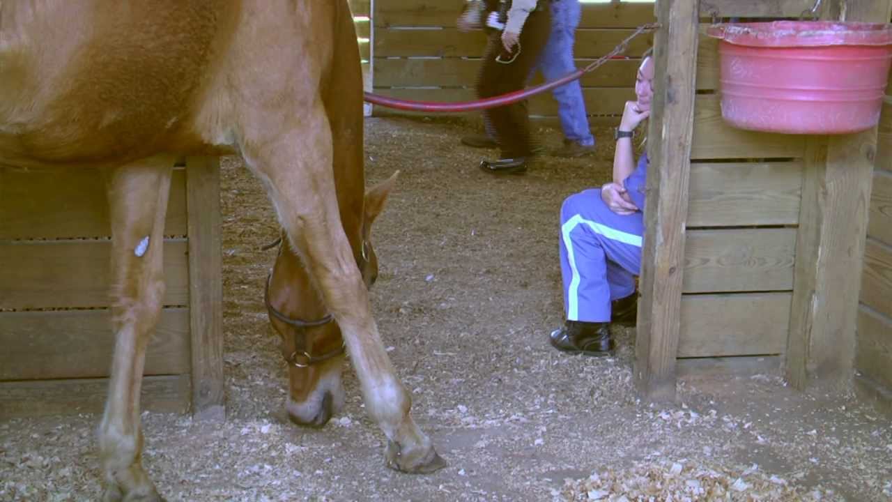 Second Chance Farm at Lowell Correctional Institution