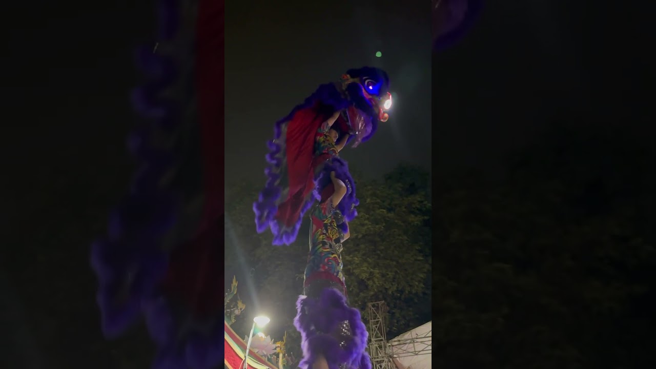 MODEL LION DANCE