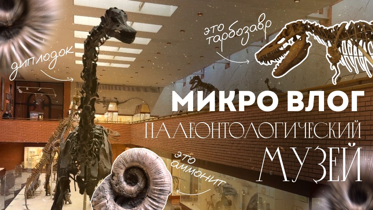 Микро-влог 01 | Палеонтологический музей в Москве
