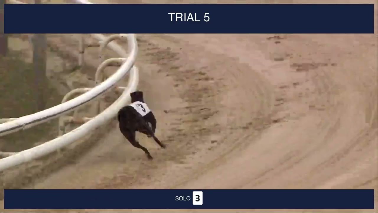 Newcastle Trials on 24th February 2026