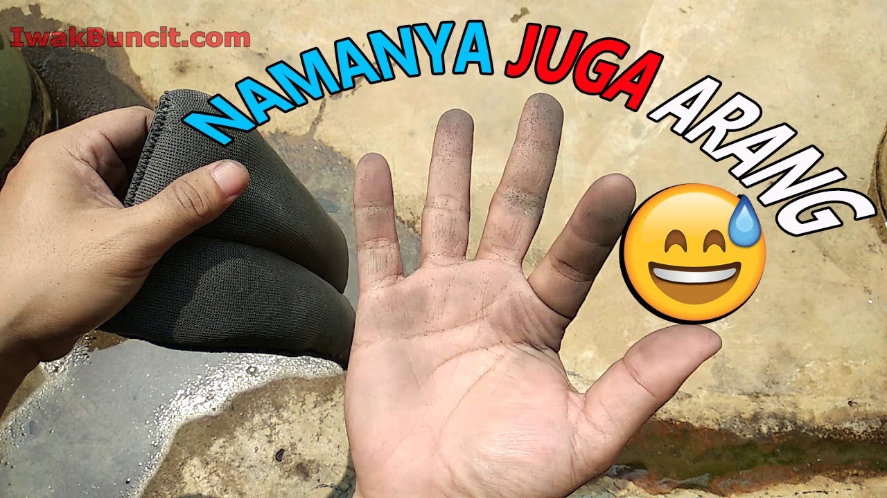 Tetap Hitam Walau Sudah Dicuci: Ini Cara Mencuci Karbon Aktif yang Benar pada Aquarium Ikan Mas Koki