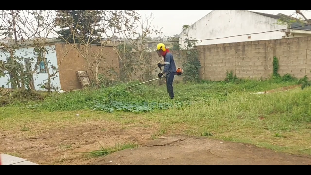 It's that time of the year. #stihl #fs291 #clearing saw 