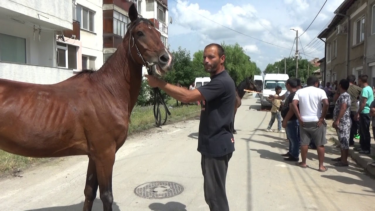 bal Sinan Razgrad DVD 1 HD