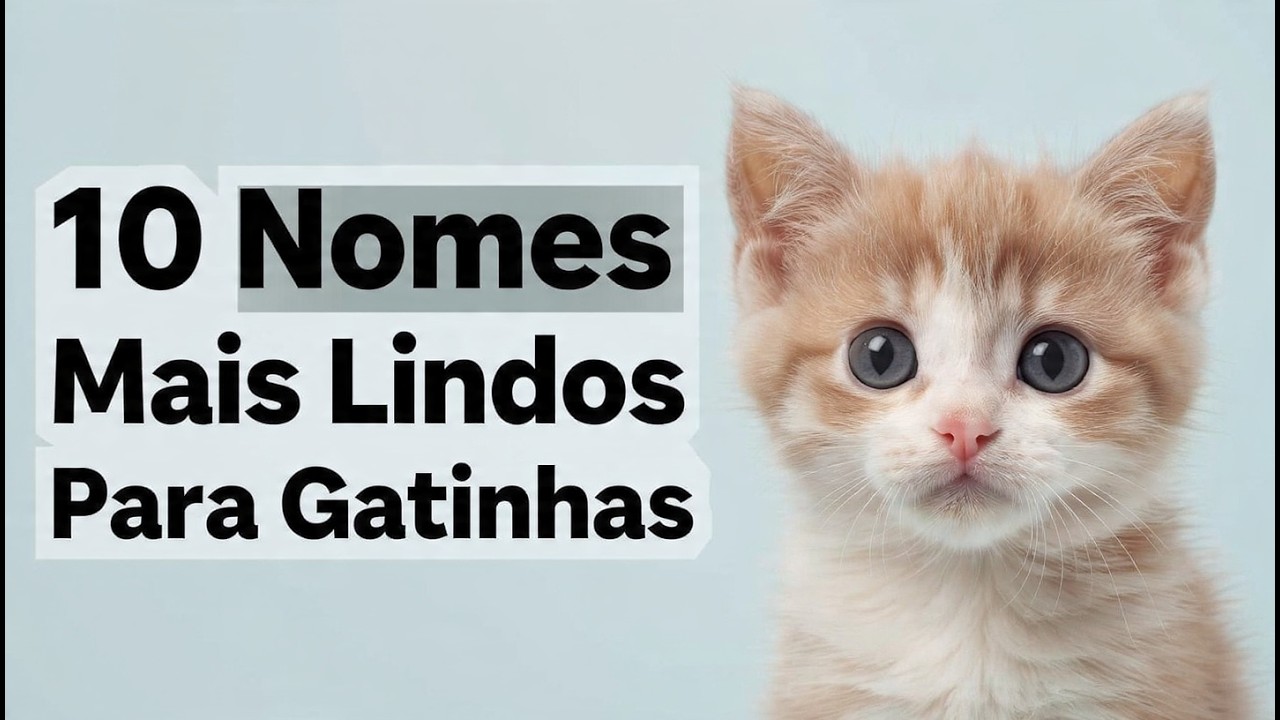 Os 10 Melhores Nomes Para Gatinhas – Lindos e Cheios de Charme