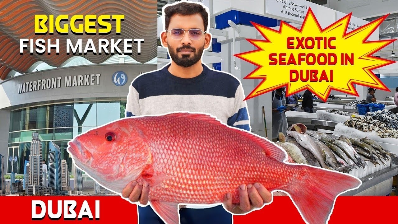 துபாய் மீன் 🐬மார்க்கெட்| Exploring Dubai Waterfront Fish Market🐟| Fresh seafood🦀