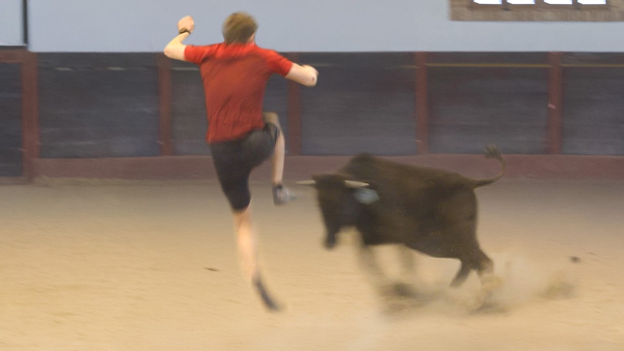 I Survived Bull Jumping
