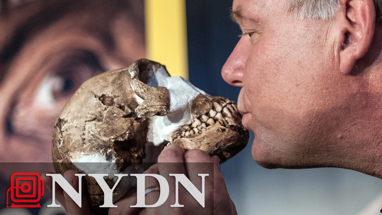 Fossils found in South African cave reveal new member of human family tree