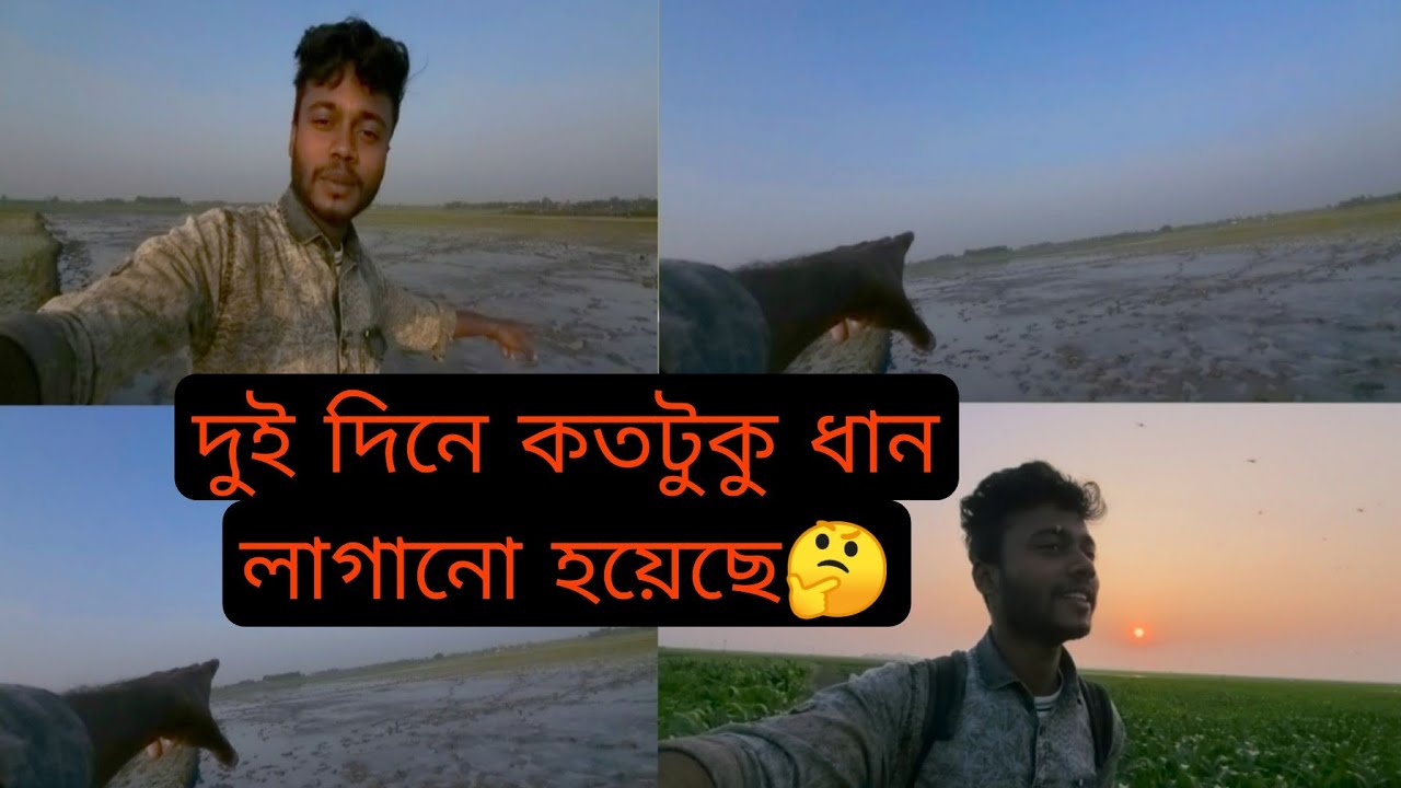 প্রায় দুই দিনে যতটুকু জমিতে ধান লাগানো হয়েছে সেটাই দেখানো হলো💝